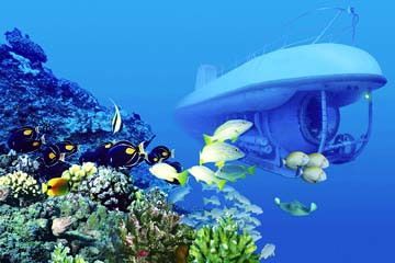 2008 hݳƷ Global Luxury Report 
