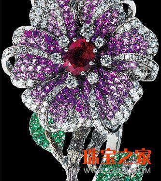 ƣAnna HuΨ`錚