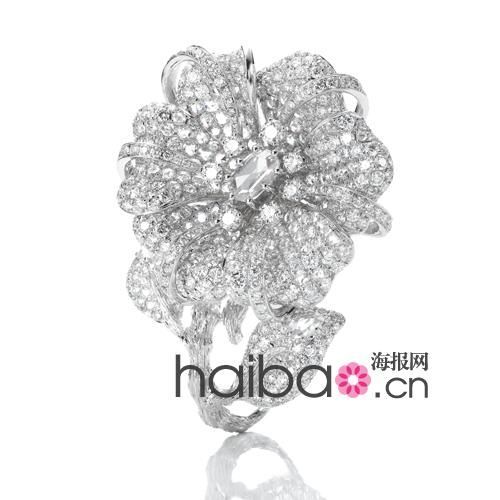 ɴAOӋ(Anna Hu)cǼ(Jason Wu)׶ȿڼ~sݸ߼錚crbAʢ磡