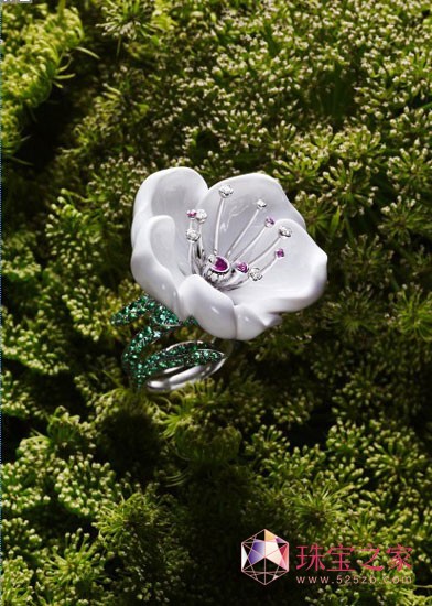 Limelight Garden Partyϵл`}