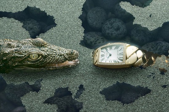 zӰPeter Lippmann{~c鿨؁(Cartier)s־ĔzһMDƬDƬ}ǡT