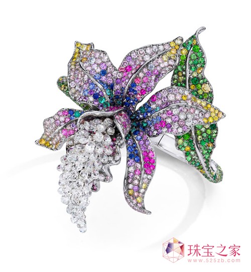Anna Hu ״΂ˇH錚չڰRm_Ļ