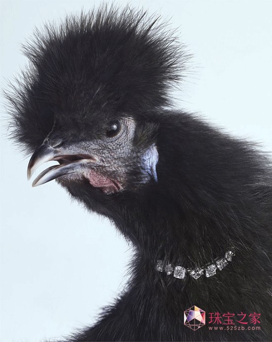 Peter Lippmannëϵ錚AƬ