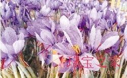 @ekɫ錚Ʒb