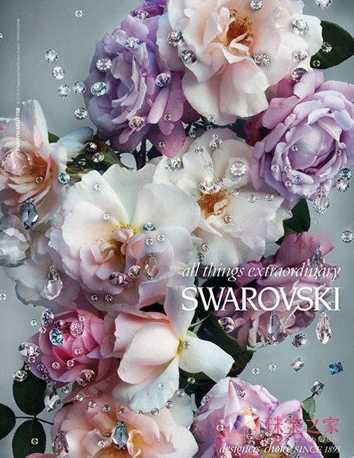 SwarovskiʩAˮ2013ďVƬ