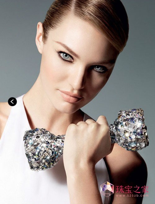 SwarovskiʩAˮ2013ďVƬ