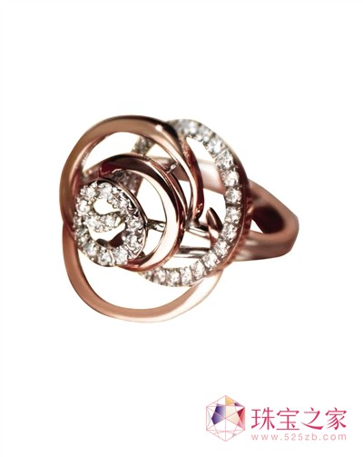 Damiani󶼕֮ϵ