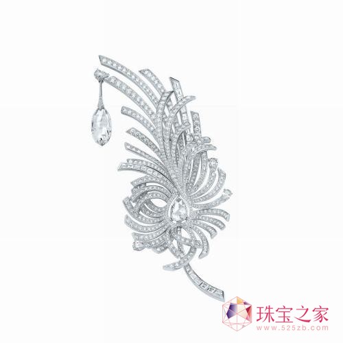 ΃¿錚ϵУ`ëcӲ錚Ĵ"Aigrette”