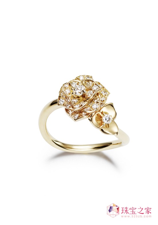 Piaget Roseϵ