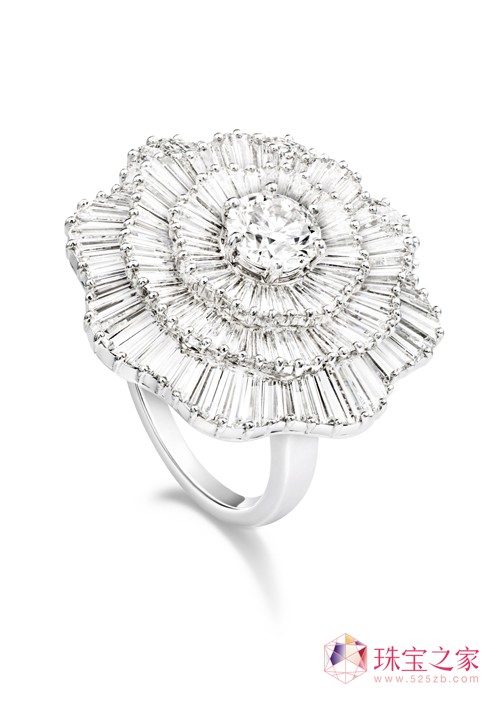 Rи@ʯPiaget(jng)ɫ