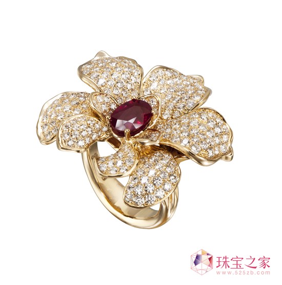 ORQUÍDEASָ̖Ů Seda Imperialϵ]