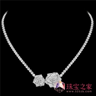 PiagetRose(xing)