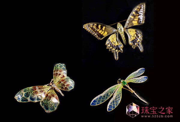 J-Jewellery(jng)錚ػˇgr