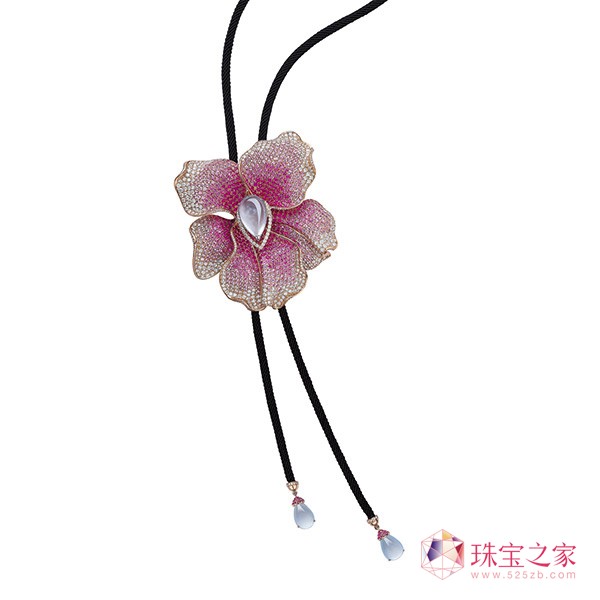 Aster Ma ߼錚Ʊ҃ņĻ