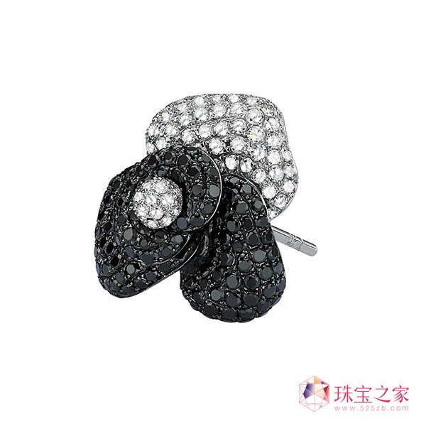 Aster Ma ߼錚Ʊ҃ņĻ