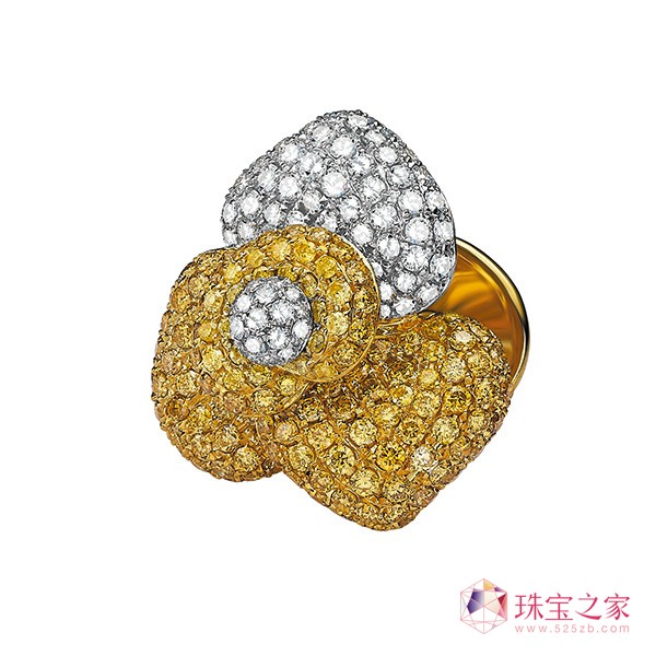 Aster Ma ߼錚Ʊ҃ņĻ