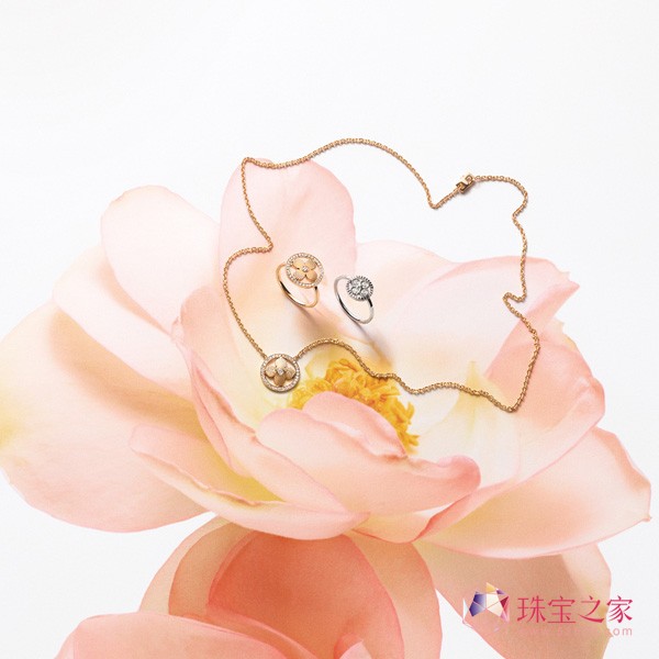 ·ȫBlossom ϵ錚