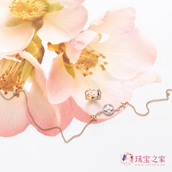 ·ȫBlossom ϵ錚