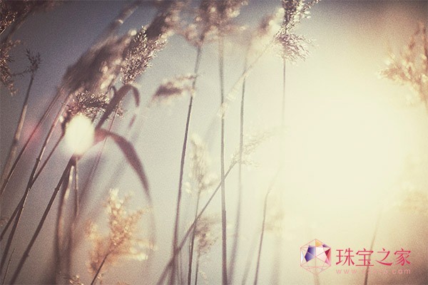 Ƞ˹@ʯ錚ꖹ貫IY