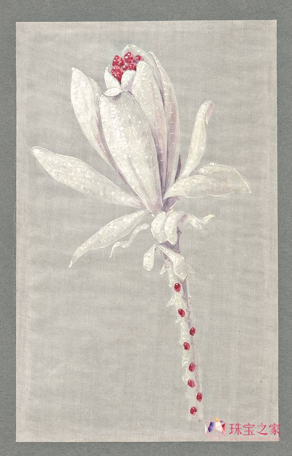 Ȼ` La Nature de CHAUMET߶錚l
