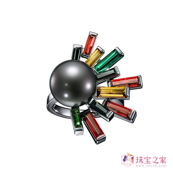 TASAKI 2016ﶬϵ錚Ʒ