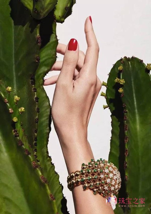 ؁Cactus de Cartier ϵʢľ`
